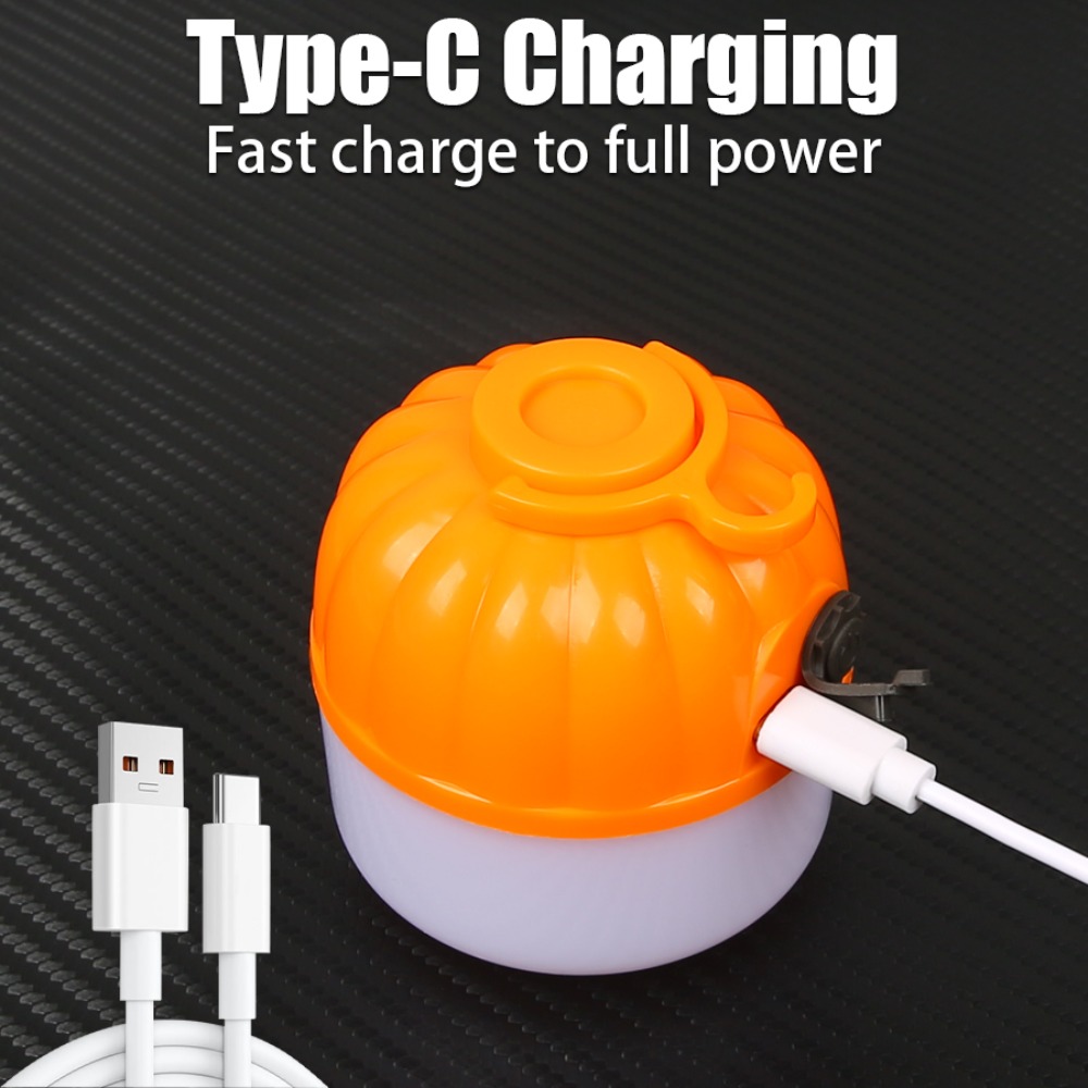 Portable Mini Camping Lamp 4 L - Outdoor Lighting Portable review and price