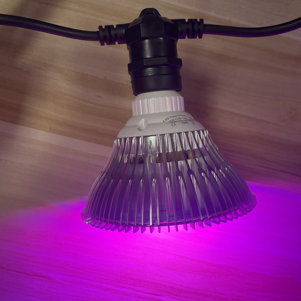 10M Cable LED String Commercia - Outdoor Lighting Strip review and price