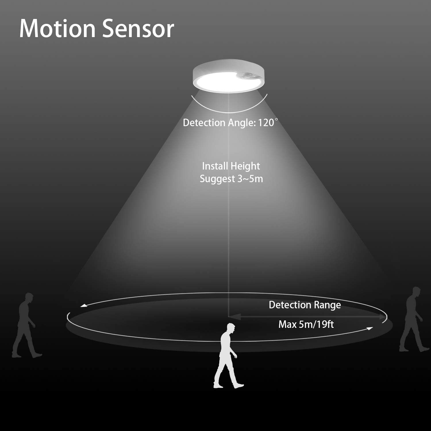 Motion Sensor Ceiling Lights B - Outdoor Lighting Motion Sensor review and price