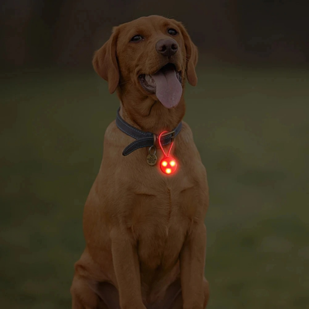 Outdoor Backpack Lights Silico - Outdoor Lighting Strip review and price
