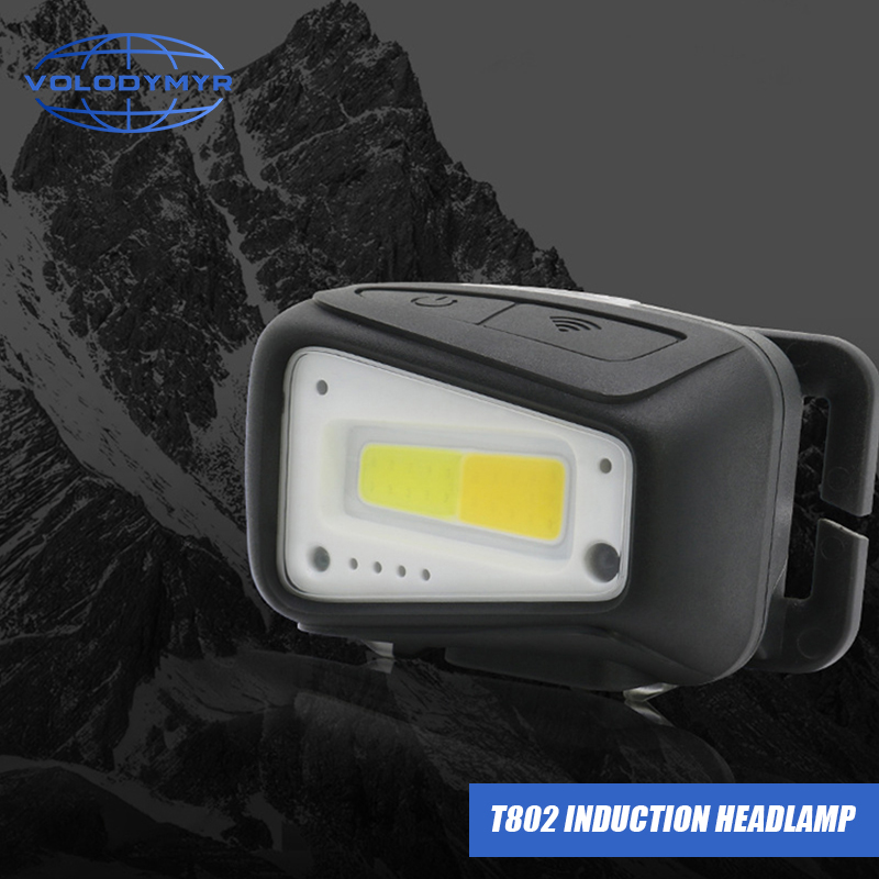 VOLODYMYR Waterproof COB LED H - Outdoor Lighting Motion Sensor review and price