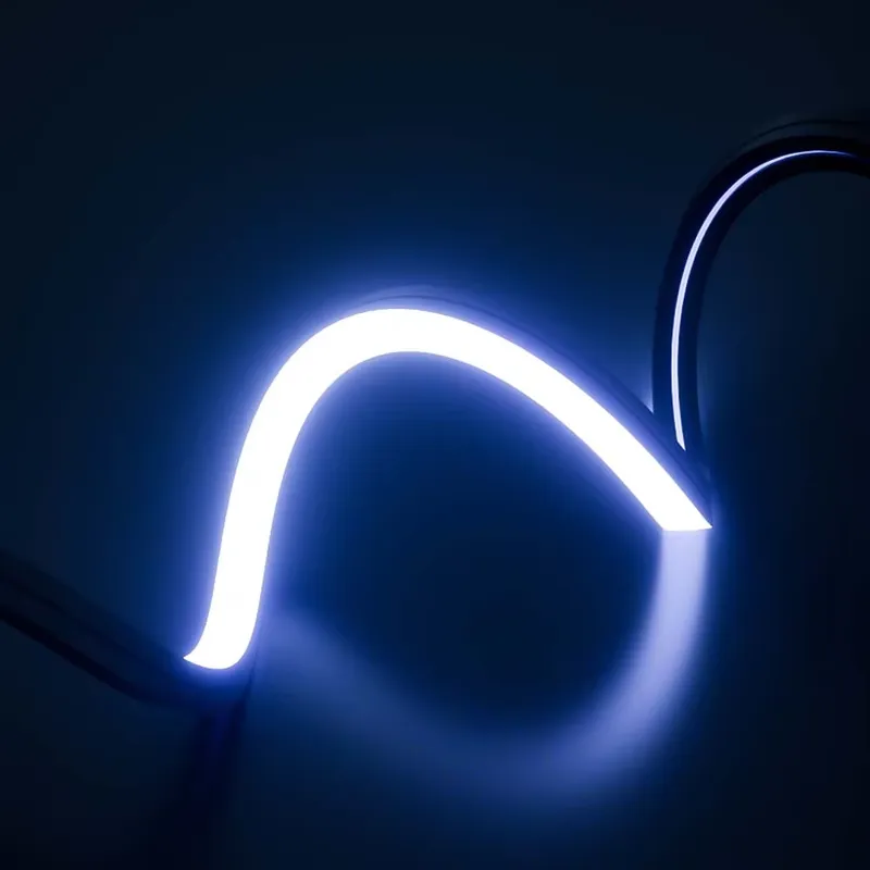PERFECT Dream Color Led Neon S - Outdoor Lighting Strip review and price